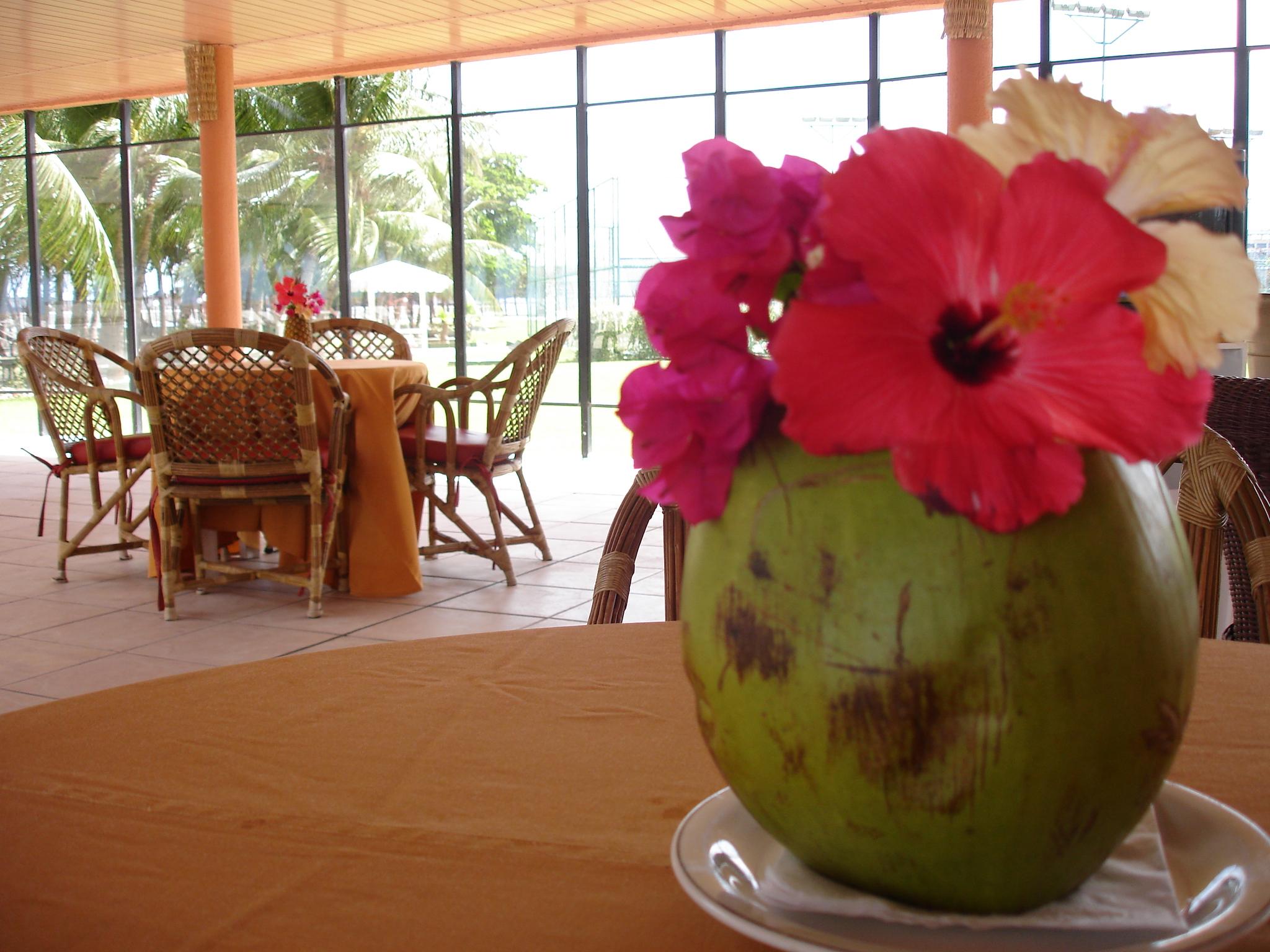 Marina Park Hotel Форталеза Экстерьер фото A coconut flower